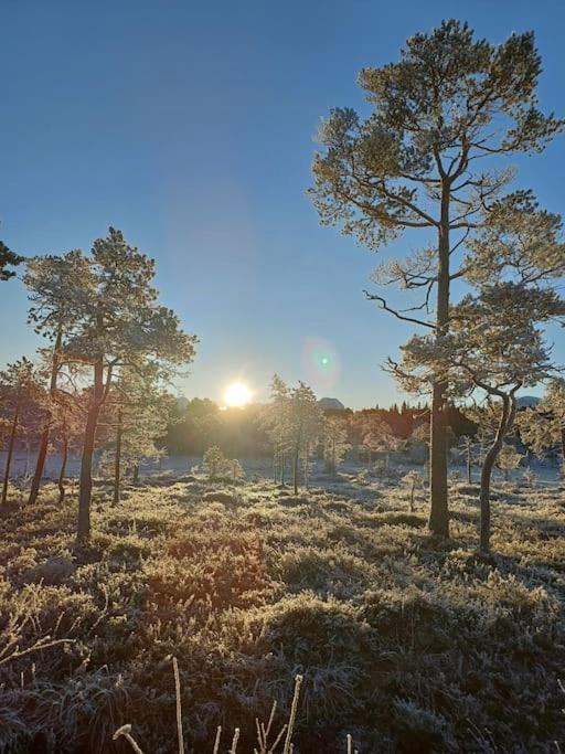 Koselig Og Moderne Leilighet, Meget Sentralt I Narvik Med Gratis Parkering! Exterior foto