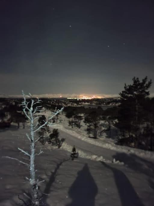 Koselig Og Moderne Leilighet, Meget Sentralt I Narvik Med Gratis Parkering! Exterior foto