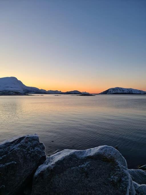 Koselig Og Moderne Leilighet, Meget Sentralt I Narvik Med Gratis Parkering! Exterior foto