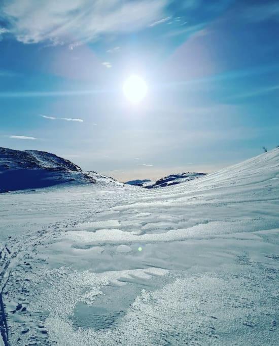 Koselig Og Moderne Leilighet, Meget Sentralt I Narvik Med Gratis Parkering! Exterior foto